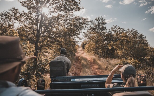 Klaserie Sands Safari Trails