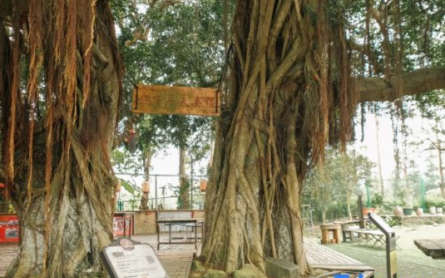 Feiyi Culture Village (Dapeng Suocheng Branch) – Outside – Shenzhen