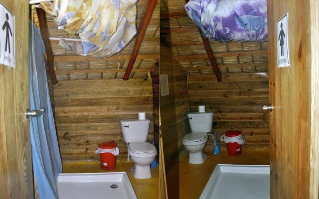 Hostel La Ballena Backpacker