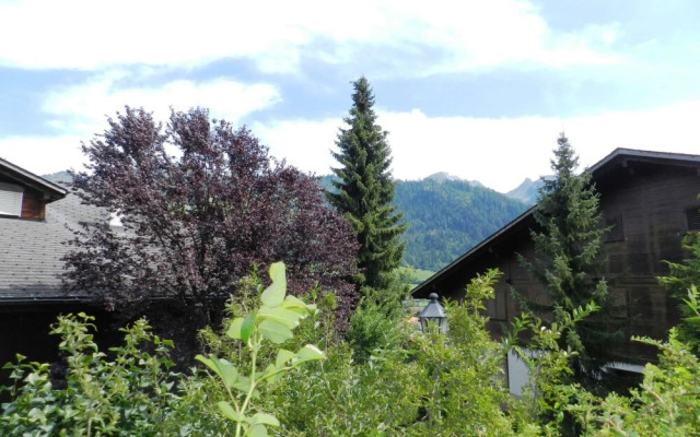 Diamant Zweisimmen in Zweisimmen