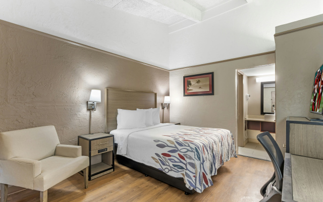 Red Roof Inn Tampa Bay - St Petersburg - Image 3