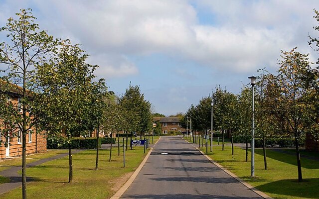 University Campus Park Wood 21658