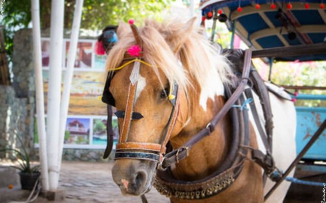 Sunrise Resort Gili Air