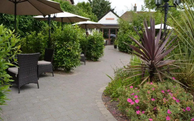 The Greyhound - Winterborne Kingston