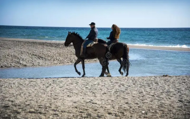 Apartamento Bristol At Home