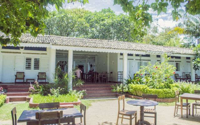 Palm Villa