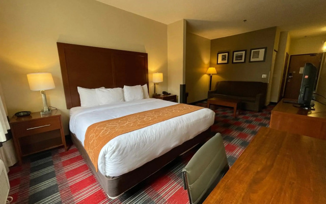 Comfort Suites Near Vancouver Mall