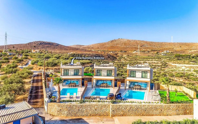 Kamelia Villa 1