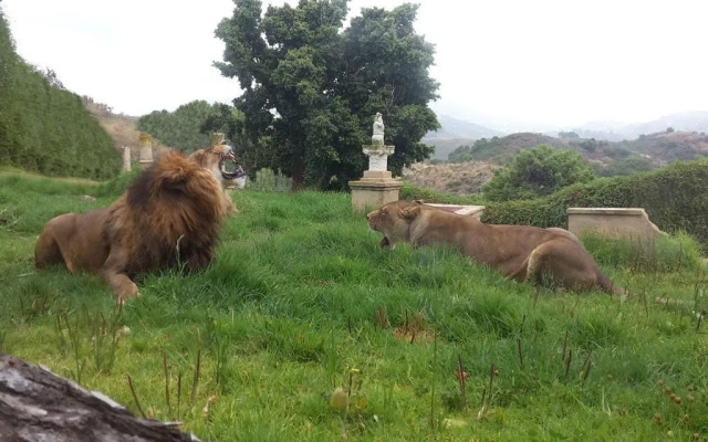 Hotel Selwo Lodge - Animal Park Tickets Included