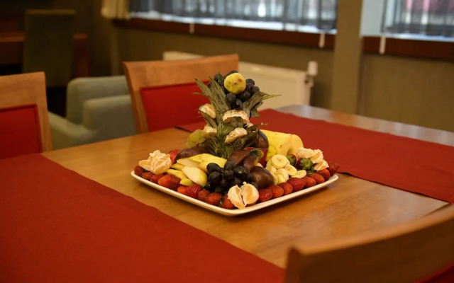 Turizoom Business Hotel & Spa Elbistan