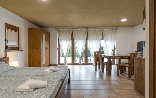 Pannonian Studio With Terrace