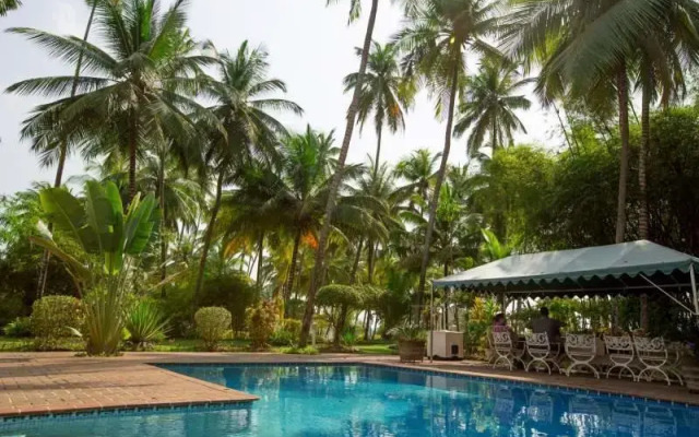 Lagarto Guest Villas