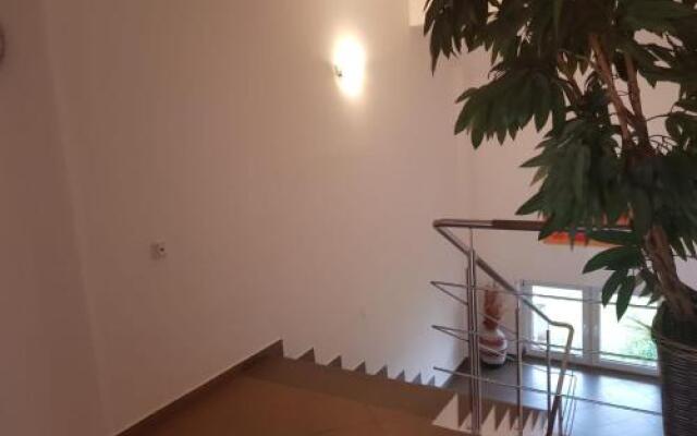 Casa Leului