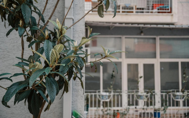 Sun&Moon Ohridlake Apartments