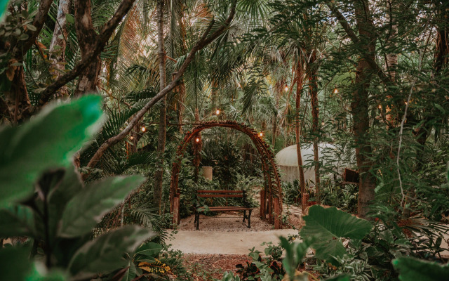 Petit Lafitte Hotel