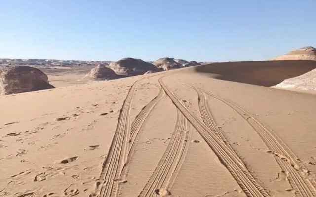 El Kamel Safari