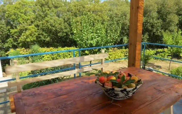 Tenuta Taddore