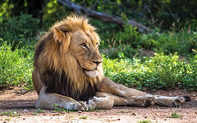 Big 5 Self-catering Lodge