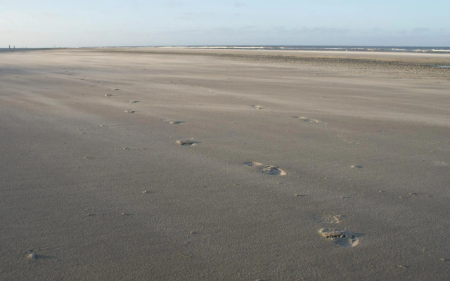 De Herbergh Van Flielant