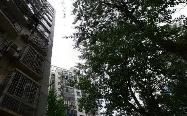 Samsung Apartment (Wuhan Hua Le Garden)