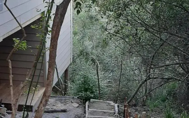 Oriole Serene Self Catering Studio