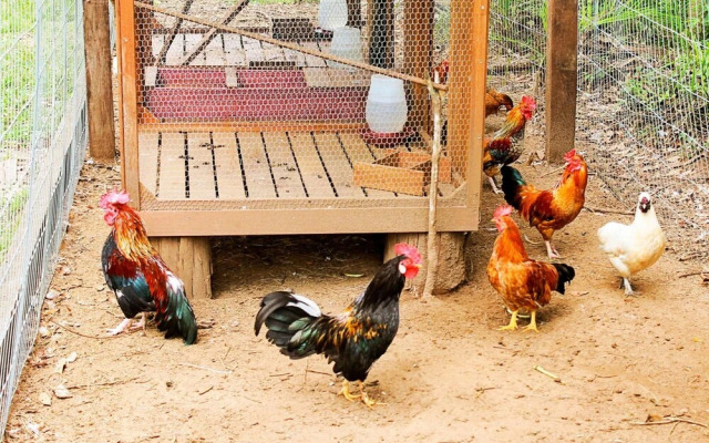 Ózera Hotel Fazenda