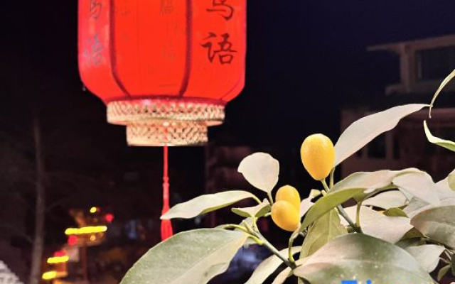 kong shan niao yumin su
