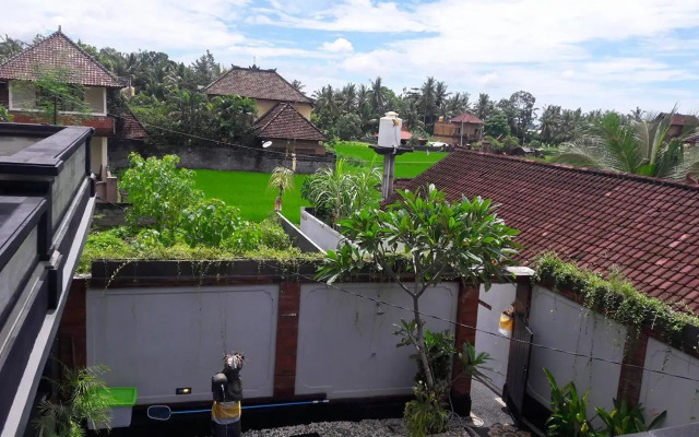 Lucky Family House