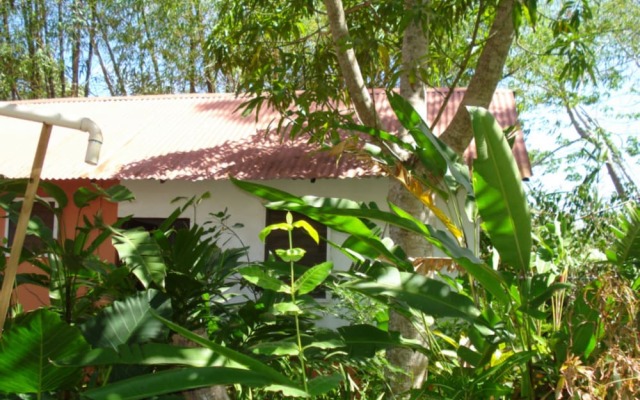 Negril Yoga Centre