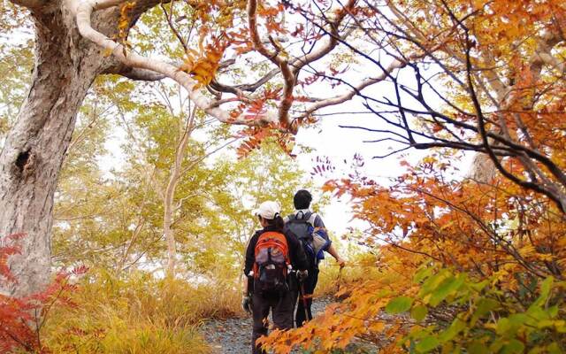 The Guest House Japan Hakuba