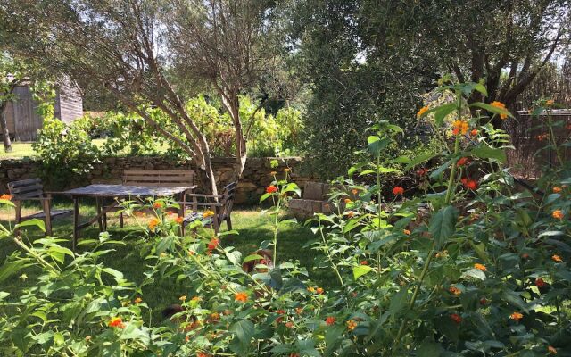 Apartement 120m with garden in a villa