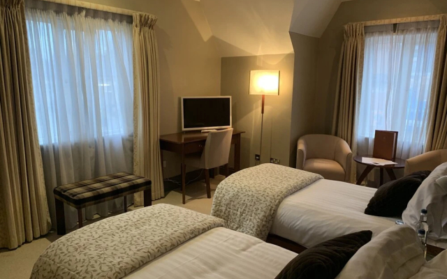 The Forest Hotel