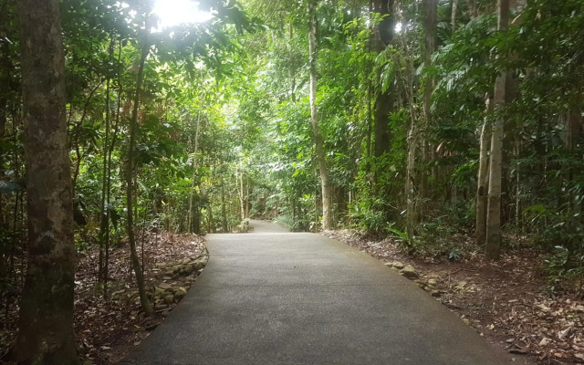 Cape Tribulation Beach House