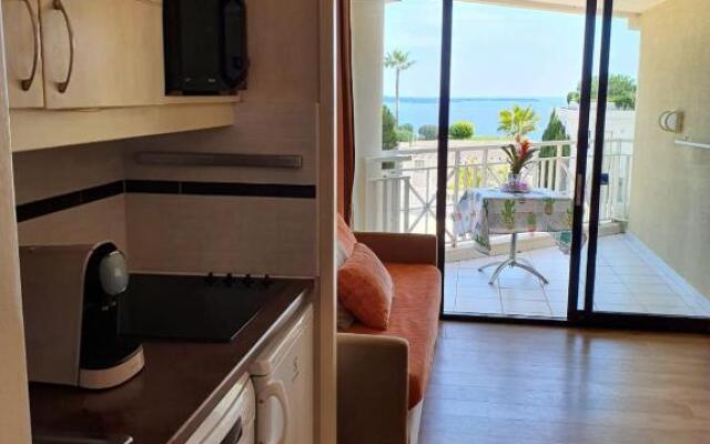 Studio Vue mer et Piscine Climatisation Wifi