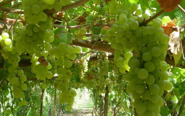 La Vigna