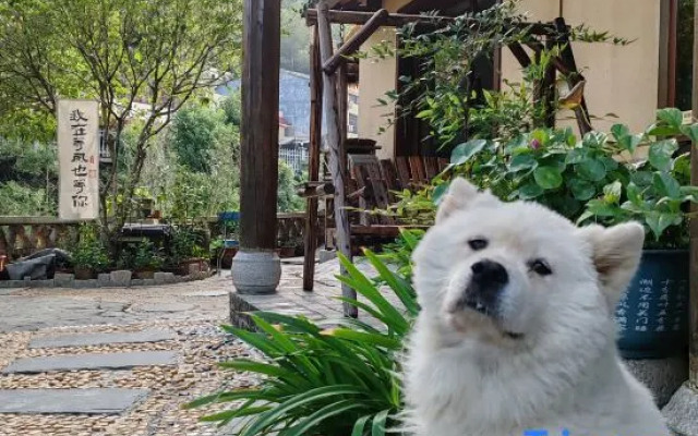 Shaoshan Dream Good Villa