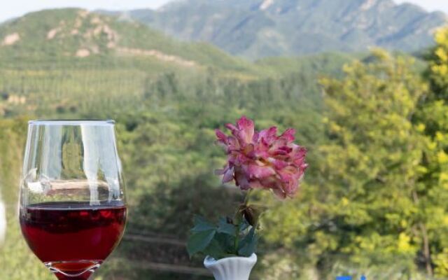 Yifangtang.Ehouse Courtyard Private Hot Spring B&B (Badaling Great Wall Branch)