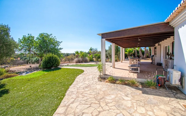 Yoba Horse Farm in Carvoeiro