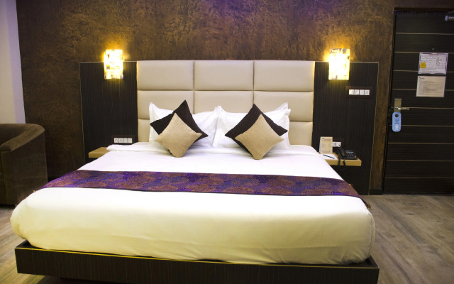 Dolphin Chocolate Inn