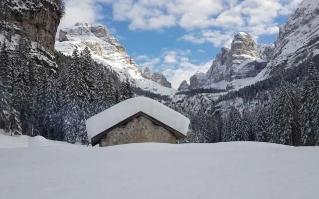 Hotel Alpina