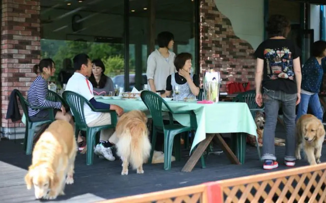 Petit Hotel Grass House