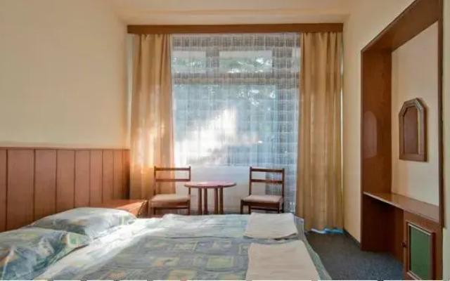 Hotel Medves