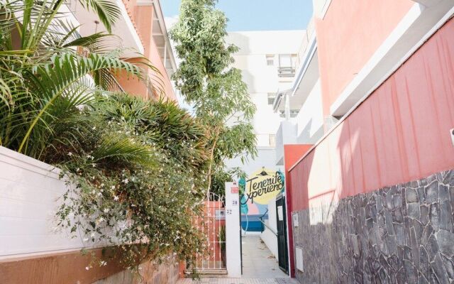 Tenerife Experience Hostel