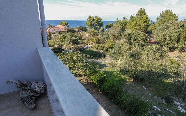Apartment Tin - comfortable apartment near beach: A1  Ugljan, Island Ugljan