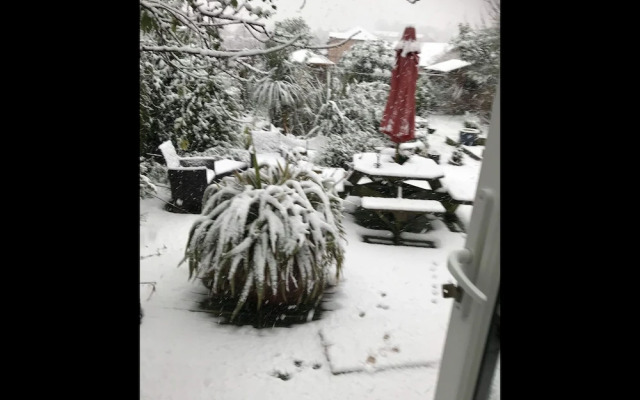 Gwynarth B&B