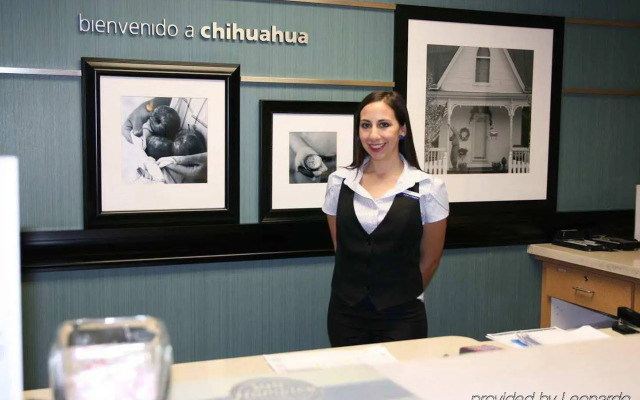 Hampton by Hilton Chihuahua