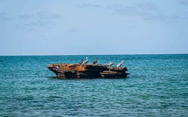 Saboga Lodge and Villa Noelia