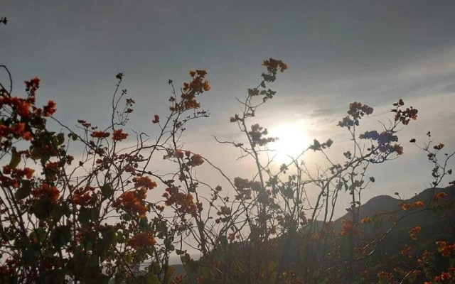 Mirador Beach Hostel