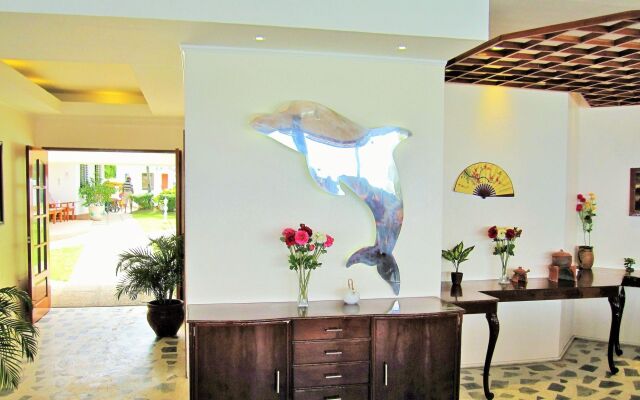 Quo Vadis Dive Resort Moalboal