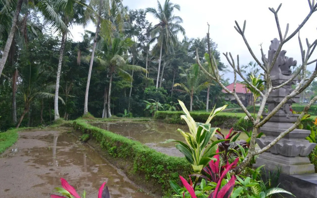 Srijaya Ubud